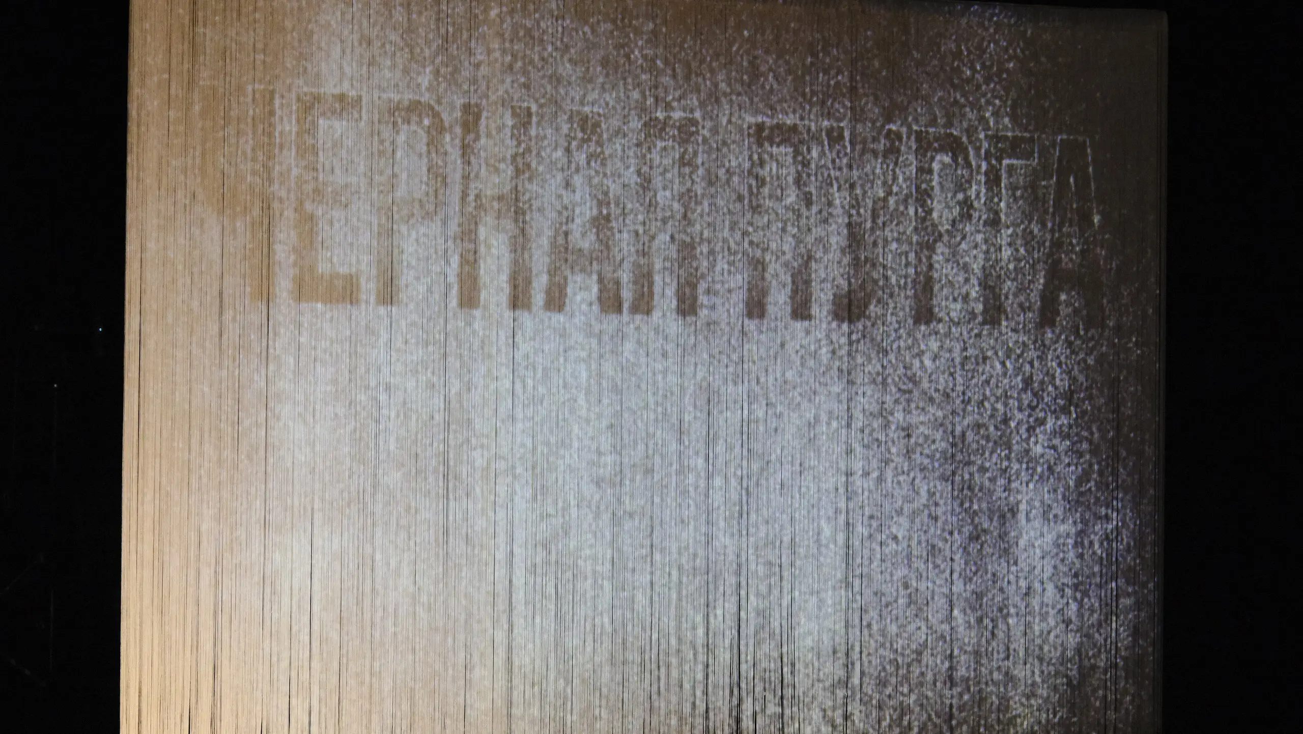 Форум СловоНово 2025. Фото Елена Семенова